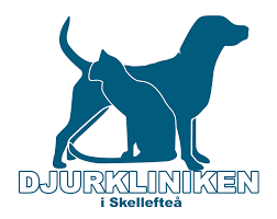Djurkliniken i Skellefteå
